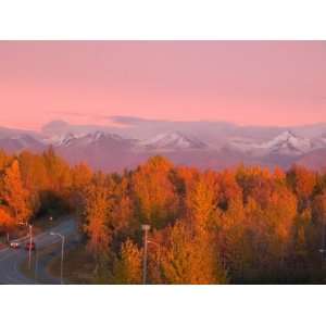  Kincaid Park in Autumn, Anchorage, Alaska, USA Stretched 