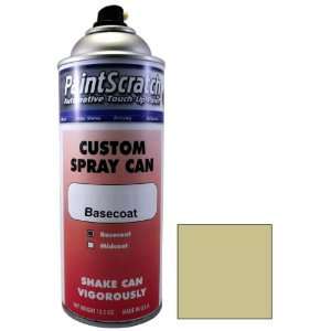   Touch Up Paint for 2002 Nissan Sentra (color code CV2) and Clearcoat