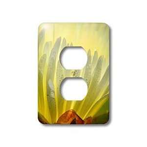   Ice Plant   Ice on Flower   Light Switch Covers   2 plug outlet cover