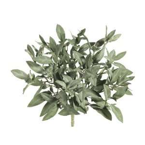  10 Sage Bush x4 Green Gray (Pack of 24)