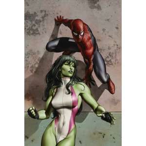   Cover She Hulk and Spider Man by Adi Granov, 48x72