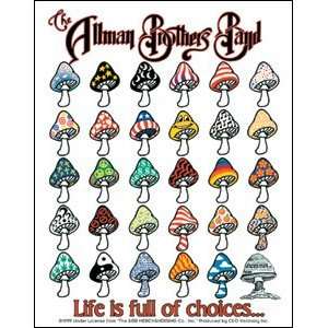  Allman Brothers Life is Full of Choices Sticker S 0609 