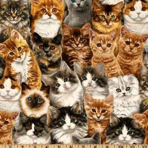  44 Wide Adorable Pets Kittens Galore Multi Fabric By The 