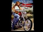   HOT BIKER CHIC MOTORCYCLE MODEL PIN UP POSTER from Daytona week