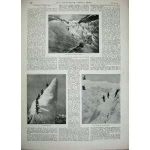  1896 Archibald Thorburn Deer Stag Snow Jungfrau Ascent 