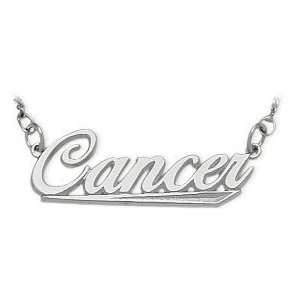   Cancer Script Zodiac Pendant June 23   July 23 with 16 chain Jewelry