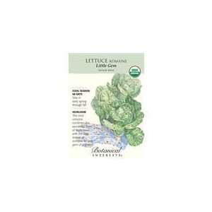  Botanical Interest   Lettuce Romaine Little Gem (Certified 
