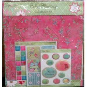  Paper Heart Baby Besslings Scrapbook Kit Arts, Crafts 