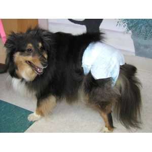  Disposable Dog Diapers   XLarge