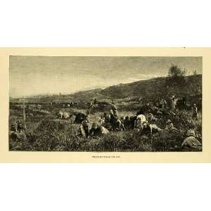 1887 Wood Engraving Cranberry Picking Eastman Johnson Bog Field 