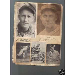 Kiddo Davis Whitehead Gumbert signed autographed page   Sports 