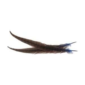  Zucker Feather Pheasant Tail Feathers 2/Pkg Assorted B502 
