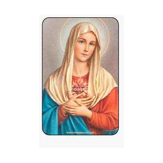  Fridgedoor Immaculate heart of Mary Domed Magnet 