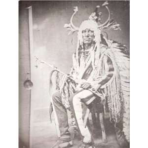  American Indian Print   War Eagle 