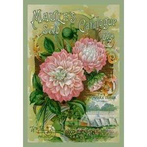 Paper poster printed on 12 x 18 stock. Maules Seed Catalogue, 1894
