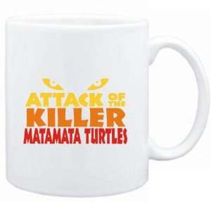    Attack of the killer Matamata Turtles  Animals