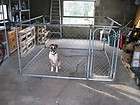   Indoor/ Outdoor ChainLink Dog Kennel Large 75 x 75 x 4H PetSafe