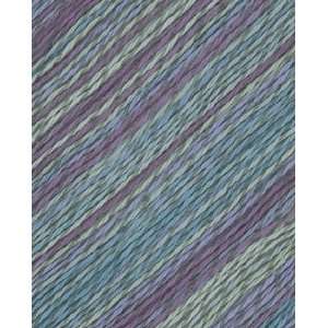  Berroco Linsey Colors Yarn 6509 Aquinnah Arts, Crafts 