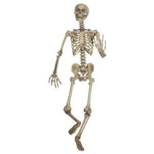  Lifesize Posable Skeleton