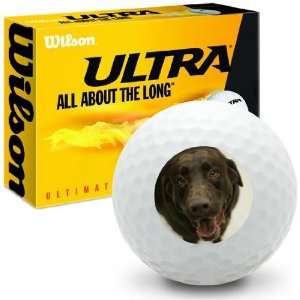  Chocolate Lab   Wilson Ultra Ultimate Distance Golf Balls 