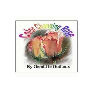  Color Changing Rose by Gerald le Guilloux Toys & Games