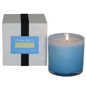  LAFCO Breakfast Room Candle (Citrus Berry)