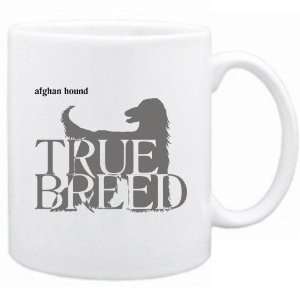    New  Afghan Hound  The True Breed  Mug Dog