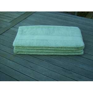  2 Pieces of 60 Luxury Hotel Collection Bath sheet Towel 