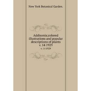  Addisonia;colored illustrations and popular descriptions 