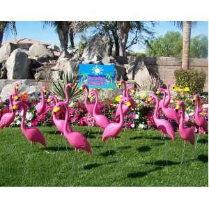 24 Large Plastic Pink Flamingos in Bulk and a Youve Been Flocked 