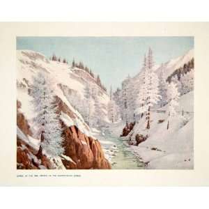   Stream Mountain Forest Snow   Original Color Print