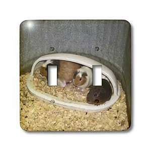 Jackie Popp Nature N Wildlife animals   Hamsters   Light Switch Covers 