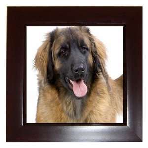  leonberger 14 Framed Tile G0718 