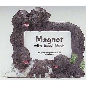  Newfoundland Magnet