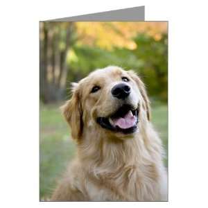 Good Boy Golden Pets Greeting Cards Pk of 10 by 