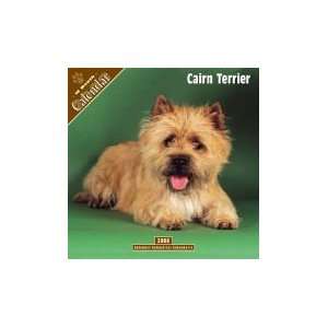   Terrier 2008 16 Month Wall Calendar **IN STOCK NOW**