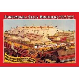 Paper poster printed on 12 x 18 stock. Forepaugh and Sells Brothers 