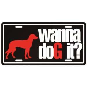  New  Mixed Breeds / Wanna Dog It ?  License Plate Dog 
