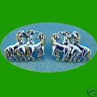 EARRINGS Western Cowgirl HORSE Pierced Rodeo Jewelry  