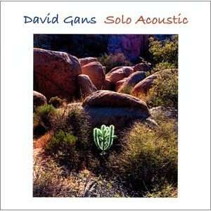  Solo Acoustic David Gans Music