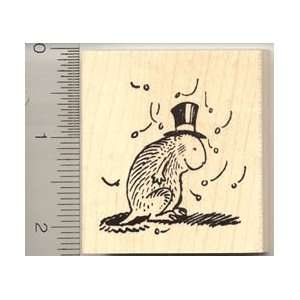  Groundhog w/ Shadow Rubber Stamp Arts, Crafts & Sewing