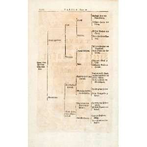 1722 Woodblock Print Genealogy Ancestry Von Scherssenberg Zollern 