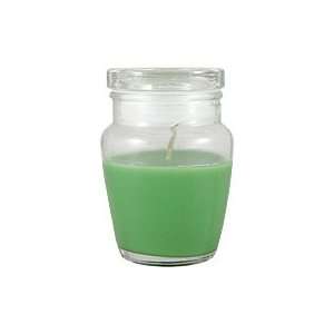 Kiwi Fruit Candle   Scented Candle, 1 candle,(Old Williamsburgh Candle 