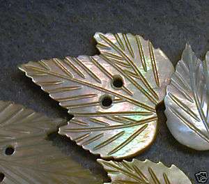 Carved Mother of Pearl Button Maple Leaf Realistic  