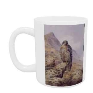 Peregrine Falcon by Carl Donner   Mug   Standard Size  