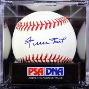   Graded Psa/dna 9.5 Mint+   Autographed Baseballs