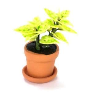   Dollhouse Yellow Croton Houseplant in a Clay Pot Toys & Games