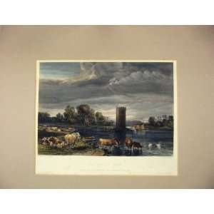   1840 Colour Print View De Tabley Park Cows Tower Boat