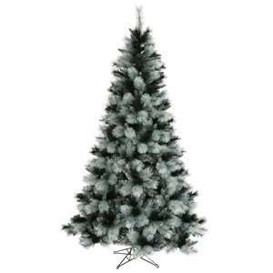  7.5 x 50 Black Ash Christmas Tree Lights 1321T