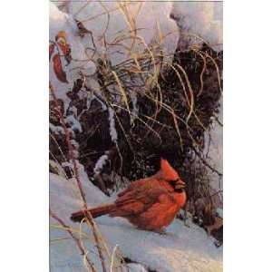  Robert Bateman   Winter Cardinal Rigiclee